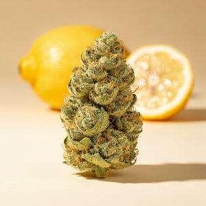 Lemon Skunk THCA Flower